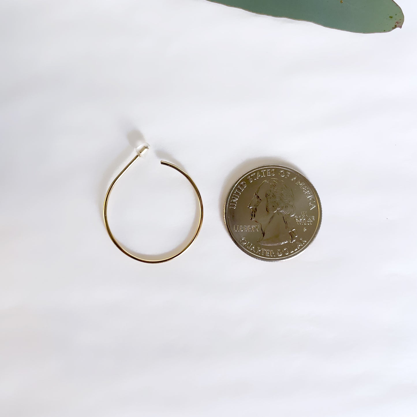 Gold Hoop Earring
